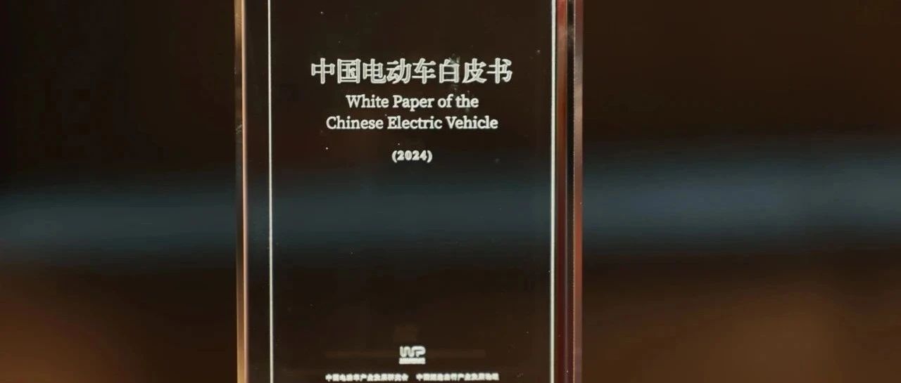 集团董事长荣膺2024年度中国电动车行业年度影响力人物